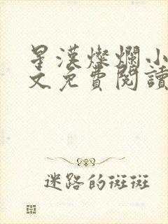 星汉灿烂小说全文免费阅读
