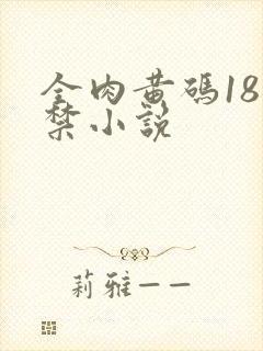 全肉黄码18无禁小说封面