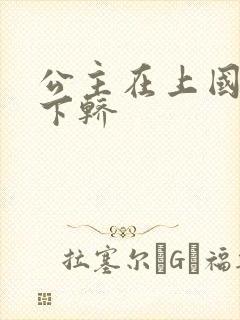 公主在上国师请下轿