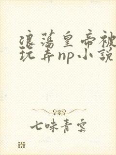 浪荡皇帝被多人玩弄np小说