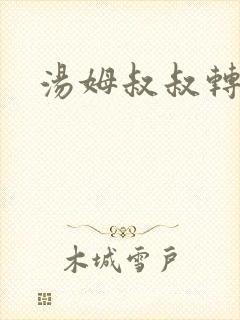 汤姆叔叔转接口