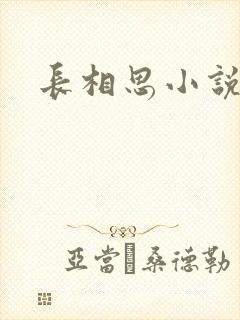 长相思小说原著封面
