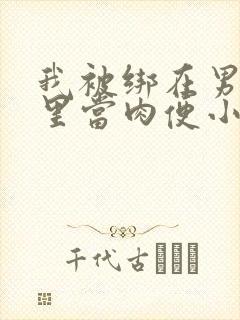 我被绑在男公厕里当肉便小说