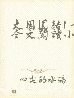 大团圆结1一6全文阅读小说