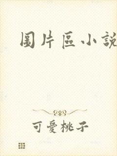 图片区小说区