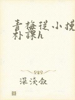青梅从小摸到大补课h封面