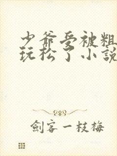 少爷受被粗汉H玩松了小说