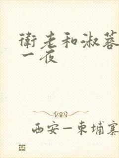 卫老和淑蓉销魂一夜封面