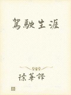 驾驶生涯