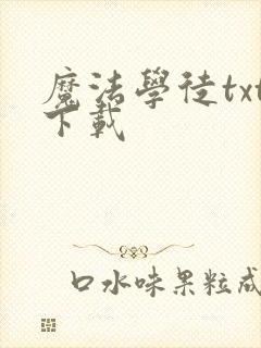 魔法学徒txt下载封面