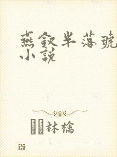 燕钗半落琥珀糖小说