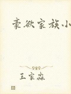 豪欲家族小说