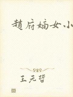 赵府嫡女小说封面