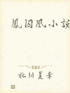 凤囚凰小说