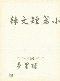 辣文短篇小说封面