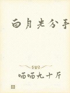 白月光分手日常封面