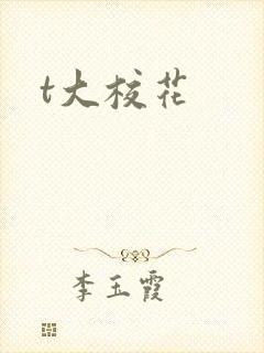 t大校花
