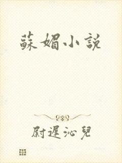 苏媚小说