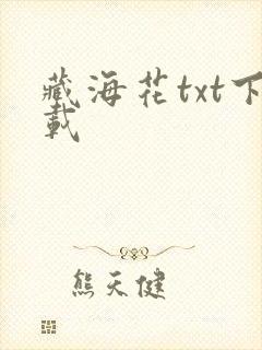 藏海花txt下载封面