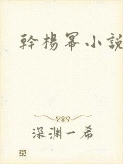 干杨幂小说封面