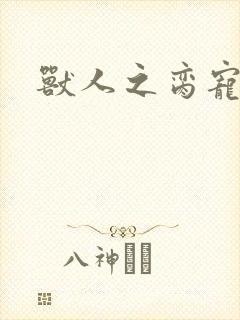兽人之脔宠封面
