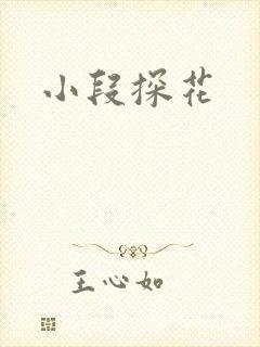 小段探花