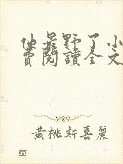 书籍封面