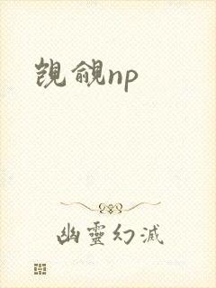 觊觎np
