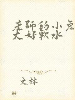 老师的小兔子好大好软水