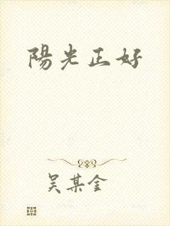 阳光正好封面