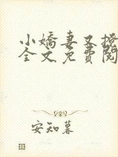 小娇妻又撩又甜全文免费阅读