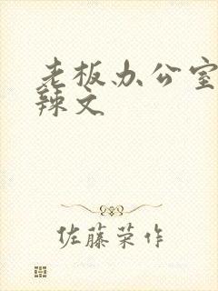 老板办公室系列辣文