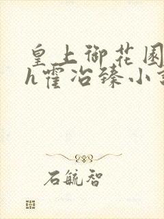 皇上御花园hlh霍冶臻小说