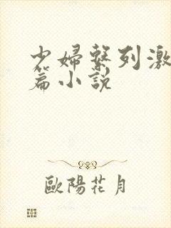 少妇系列激情短篇小说封面
