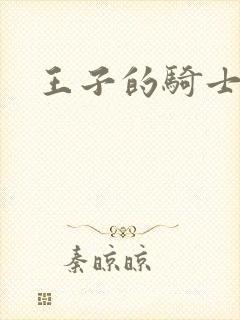 王子的骑士