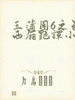 玉蒲团6之色情西厢艳谭小说封面