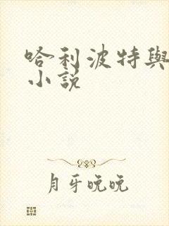 哈利波特与密室小说