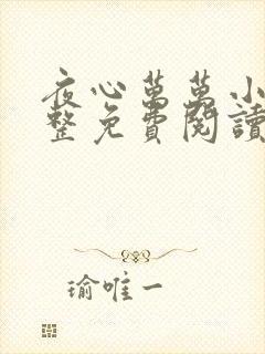 夜心万万小说完整免费阅读全文