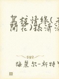 驾校情缘(老树开花)孙潇潇笔趣阁