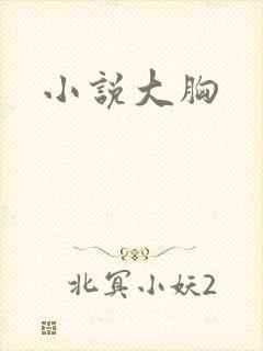 小说大胸