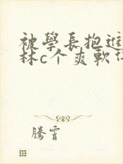 被学长抱进小树林c个爽软件