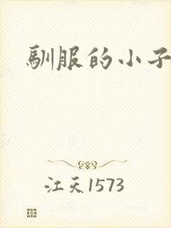 驯服的小子4