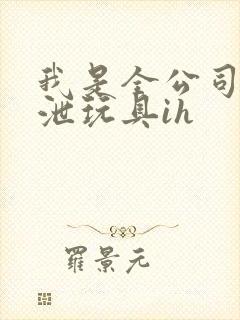 我是全公司的发泄玩具ih封面