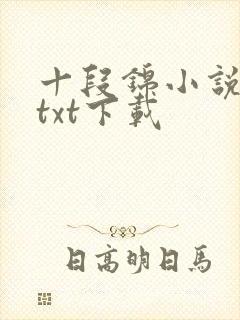 十段锦小说全本txt下载封面