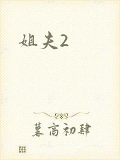 姐夫2