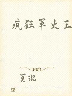 疯狂军火王封面