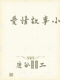 爱情故事小说
