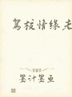 驾校情缘老赵