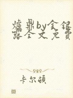 炉鼎by金银花露全文免费阅读笔趣阁封面