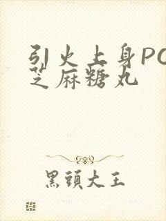 引火上身POP芝麻糖丸